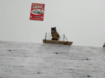 jaycreedd — 2025-08-22 16:29 jaycreedd — 2025-08-22 16:29